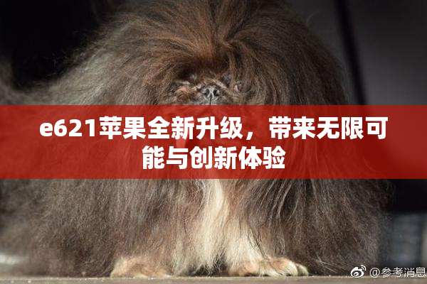 e621苹果全新升级，带来无限可能与创新体验