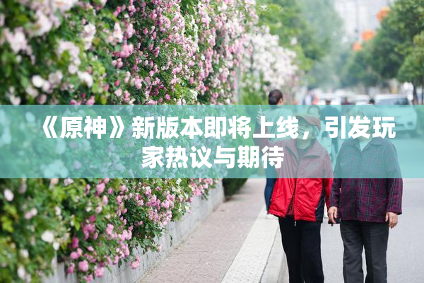 《原神》新版本即将上线，引发玩家热议与期待