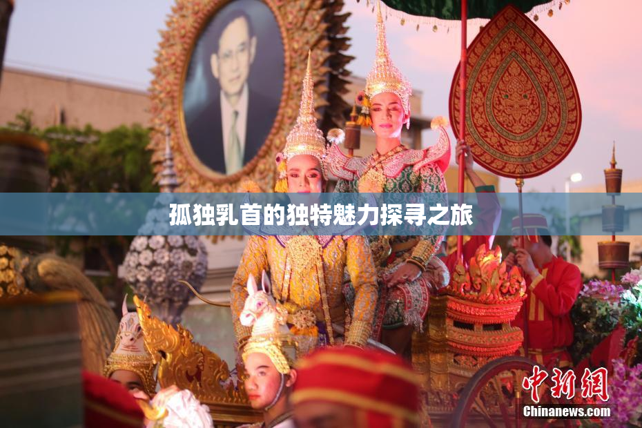孤独乳首的独特魅力探寻之旅