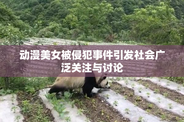 动漫美女被侵犯事件引发社会广泛关注与讨论