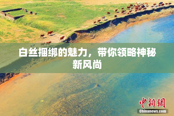 白丝捆绑的魅力，带你领略神秘新风尚