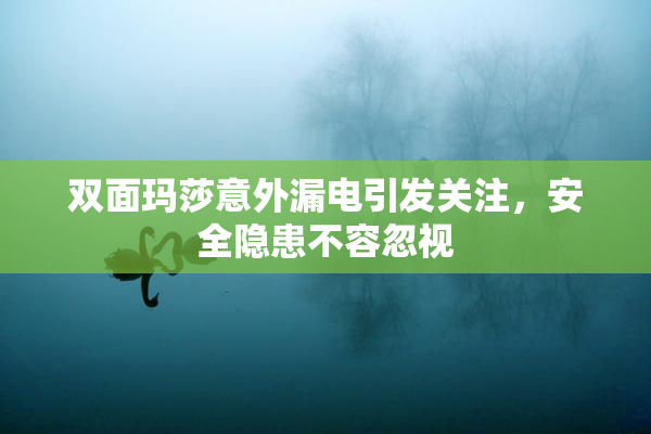 双面玛莎意外漏电引发关注，安全隐患不容忽视