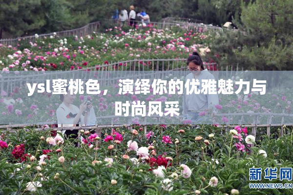 ysl蜜桃色，演绎你的优雅魅力与时尚风采