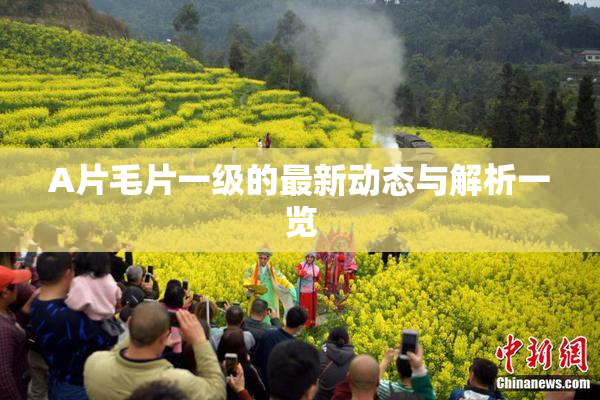 A片毛片一级的最新动态与解析一览
