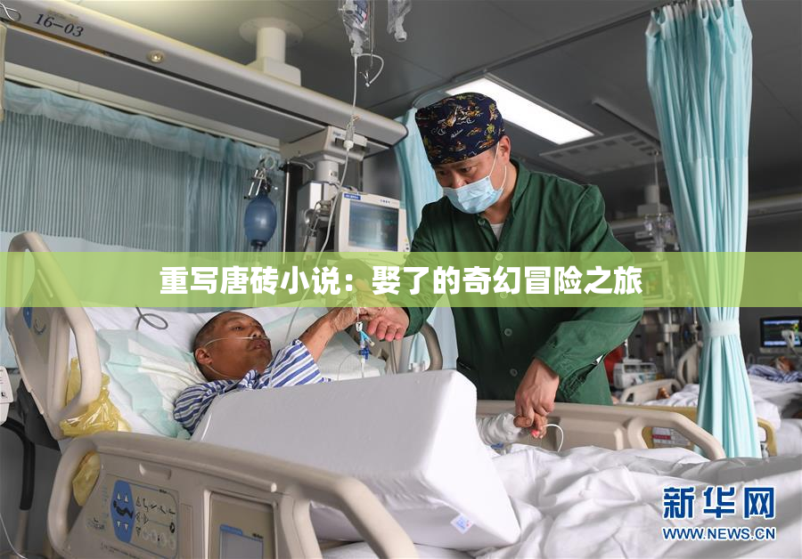 重写唐砖小说：娶了的奇幻冒险之旅
