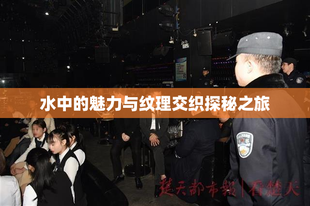 水中的魅力与纹理交织探秘之旅