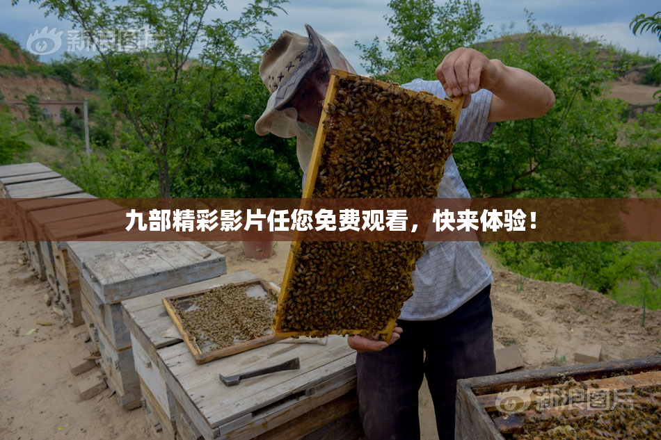 九部精彩影片任您免费观看，快来体验！
