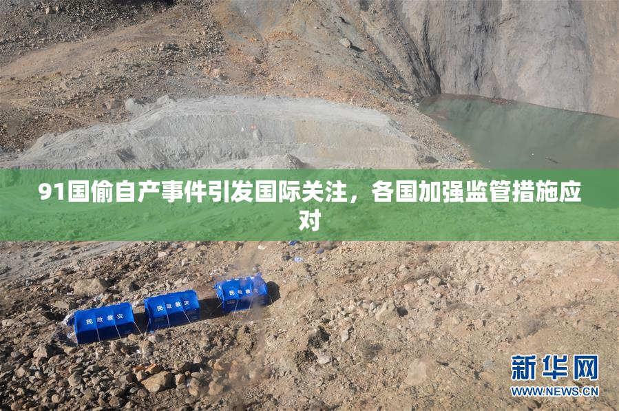 91国偷自产事件引发国际关注，各国加强监管措施应对