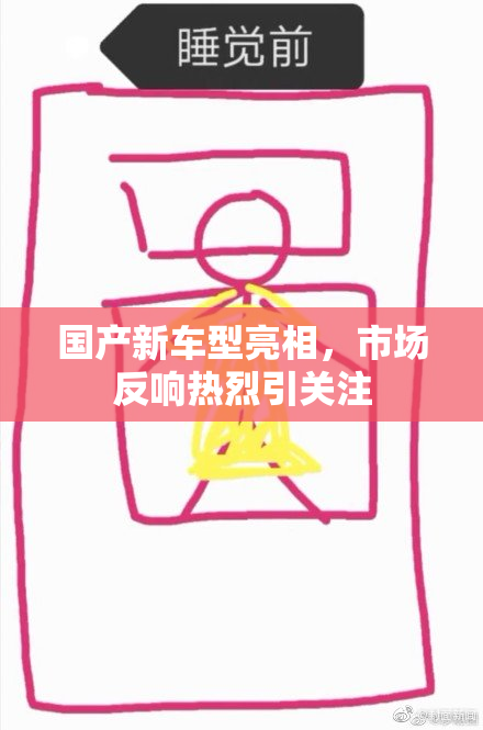国产新车型亮相，市场反响热烈引关注