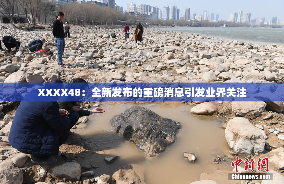 XXXX48：全新发布的重磅消息引发业界关注