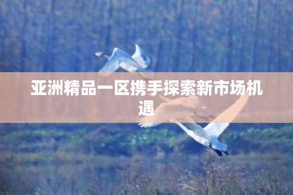亚洲精品一区携手探索新市场机遇