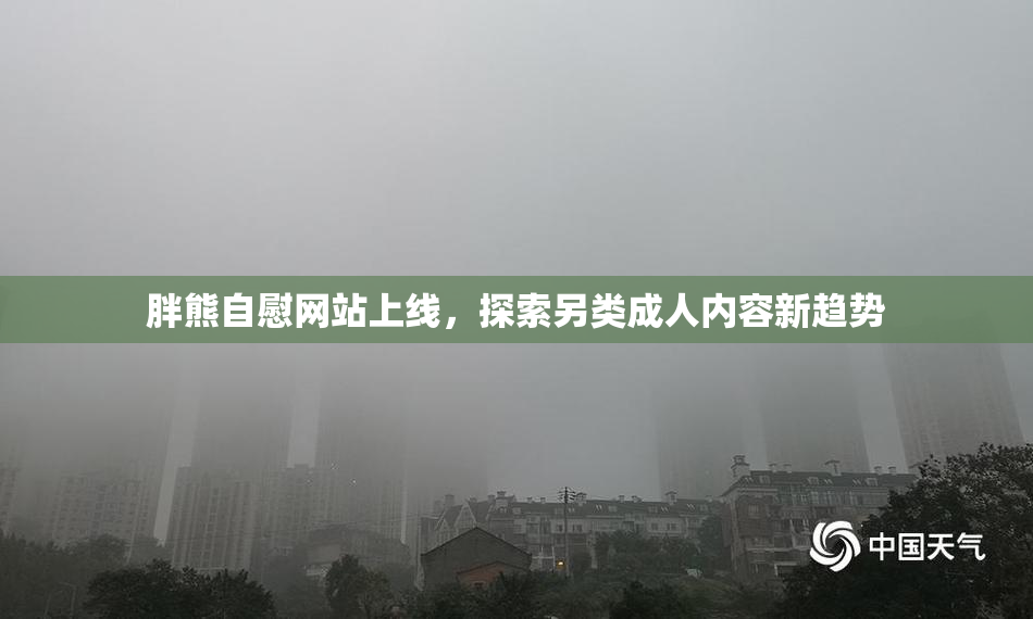 胖熊自慰网站上线，探索另类成人内容新趋势