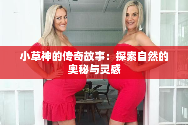 小草神的传奇故事：探索自然的奥秘与灵感