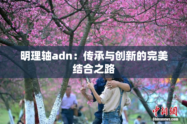 明理轴adn：传承与创新的完美结合之路