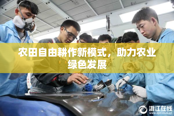 农田自由耕作新模式，助力农业绿色发展