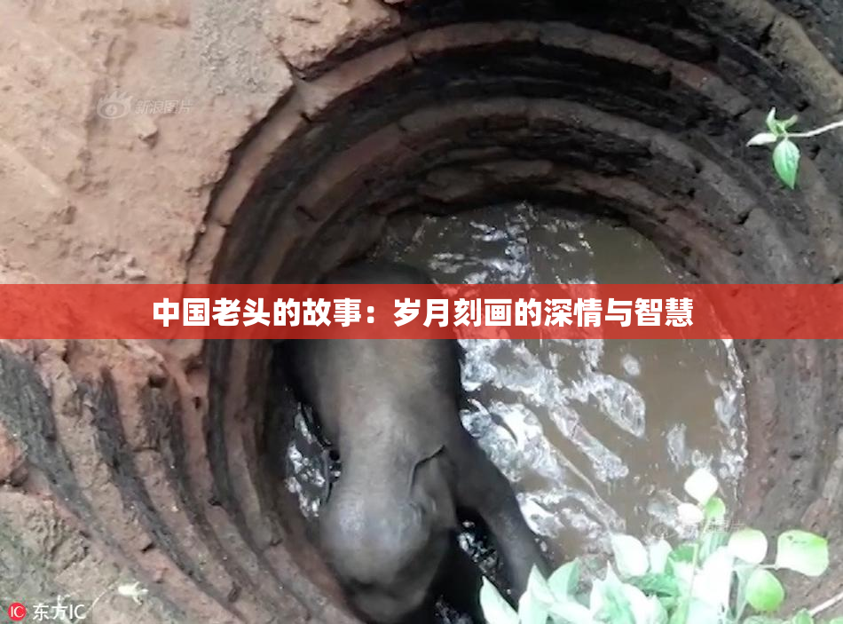 中国老头的故事：岁月刻画的深情与智慧