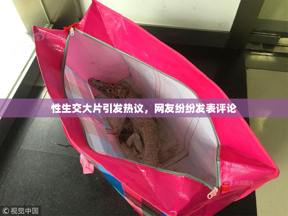 性生交大片引发热议，网友纷纷发表评论