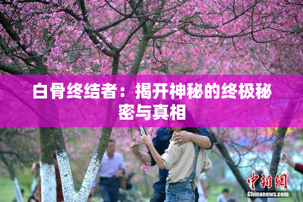白骨终结者：揭开神秘的终极秘密与真相