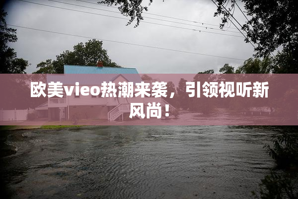 欧美vieo热潮来袭，引领视听新风尚！