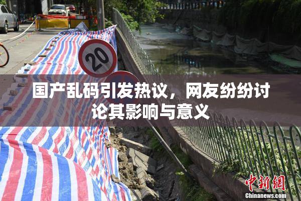 国产乱码引发热议，网友纷纷讨论其影响与意义