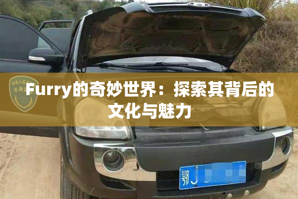 Furry的奇妙世界：探索其背后的文化与魅力