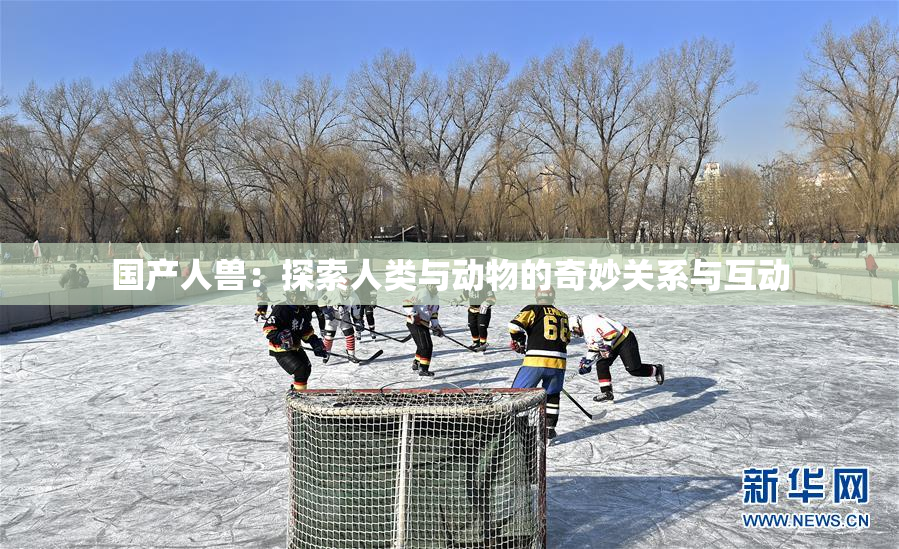 国产人兽：探索人类与动物的奇妙关系与互动