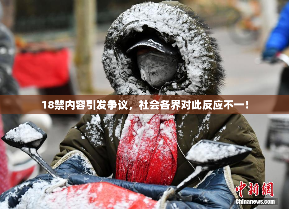 18禁内容引发争议，社会各界对此反应不一！