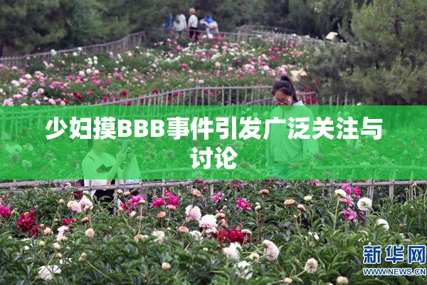 少妇摸BBB事件引发广泛关注与讨论