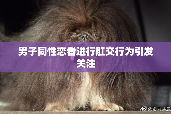 男子同性恋者进行肛交行为引发关注