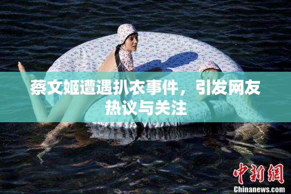 蔡文姬遭遇扒衣事件，引发网友热议与关注