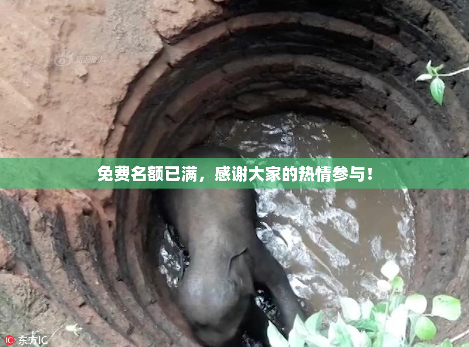 免费名额已满，感谢大家的热情参与！
