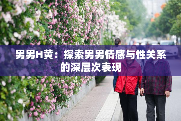 男男H黄：探索男男情感与性关系的深层次表现