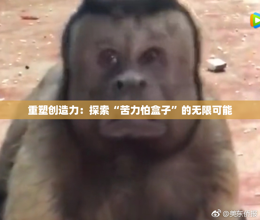 重塑创造力：探索“苦力怕盒子”的无限可能