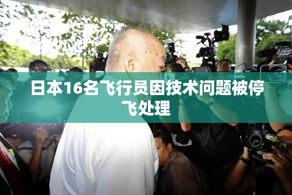 日本16名飞行员因技术问题被停飞处理