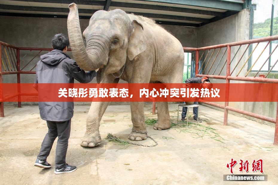 关晓彤勇敢表态，内心冲突引发热议