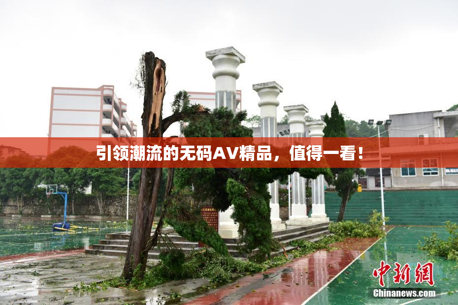 引领潮流的无码AV精品，值得一看！