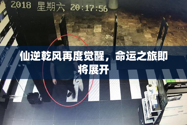 仙逆乾风再度觉醒，命运之旅即将展开