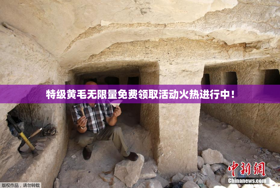 特级黄毛无限量免费领取活动火热进行中！