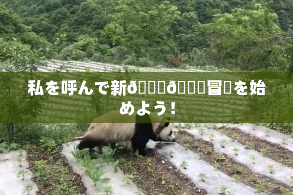 私を呼んで新👅🍑冒険を始めよう！