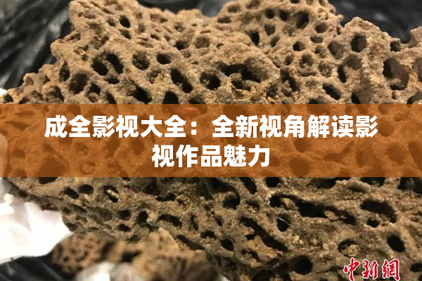 成全影视大全：全新视角解读影视作品魅力