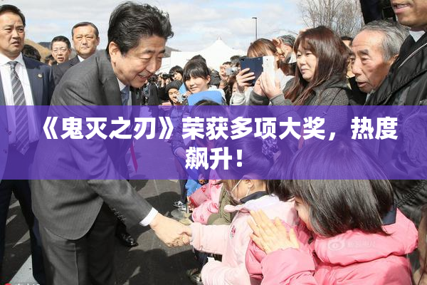 《鬼灭之刃》荣获多项大奖，热度飙升！