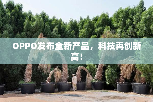 OPPO发布全新产品，科技再创新高！