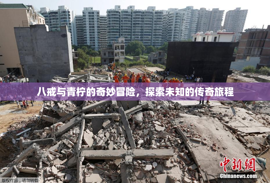 八戒与青柠的奇妙冒险，探索未知的传奇旅程
