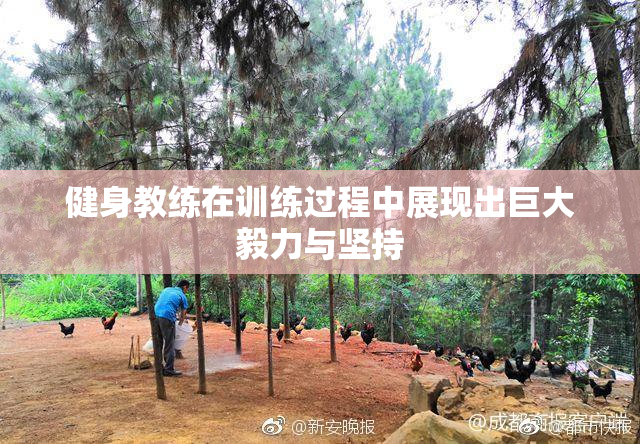 健身教练在训练过程中展现出巨大毅力与坚持