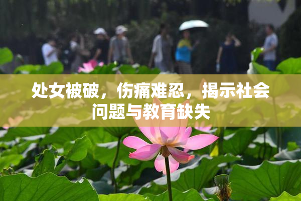 处女被破，伤痛难忍，揭示社会问题与教育缺失