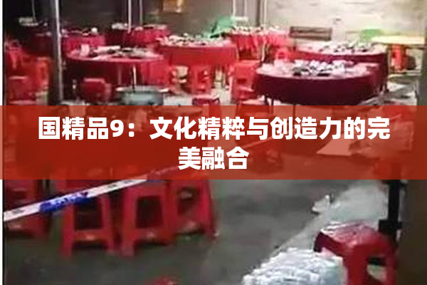 国精品9：文化精粹与创造力的完美融合