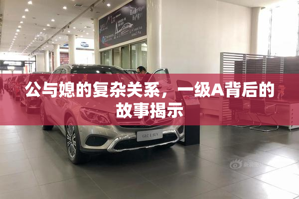 公与媳的复杂关系，一级A背后的故事揭示