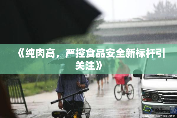 《纯肉高，严控食品安全新标杆引关注》