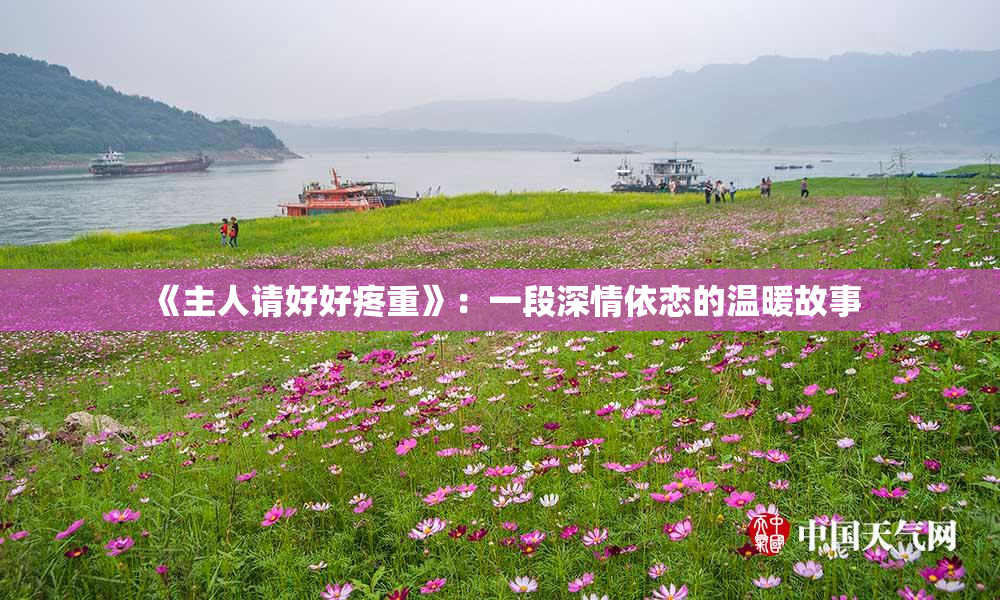 《主人请好好疼重》：一段深情依恋的温暖故事
