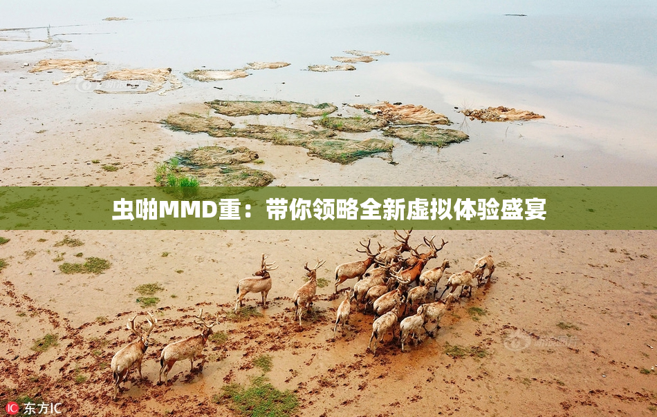 虫啪MMD重：带你领略全新虚拟体验盛宴